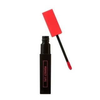 Perfect Lips Shocking Lip Tint, #06 Tomato Shocking