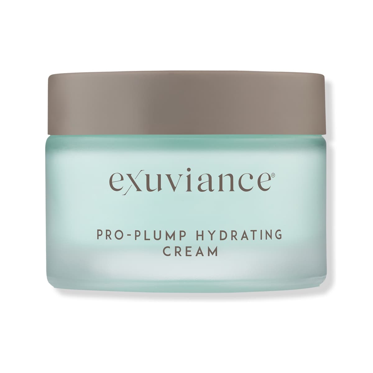 Pro-Plump Hydrating Cream