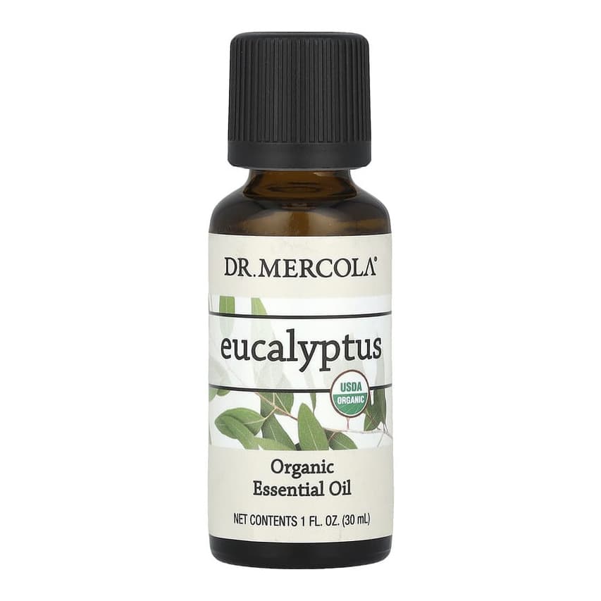 Organic Essential Oil, Eucalyptus