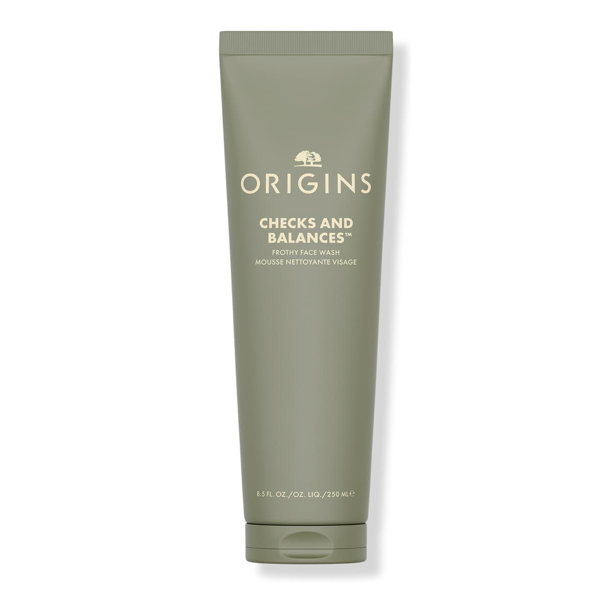 Checks and Balances Frothy Face Wash