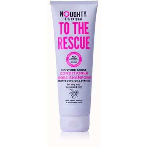 To The Resuce Moisture Boost Conditioner