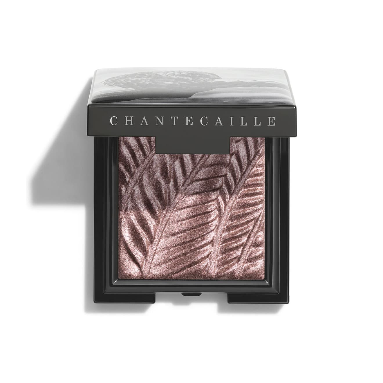 Luminescent Eye Shade, PANGOLIN