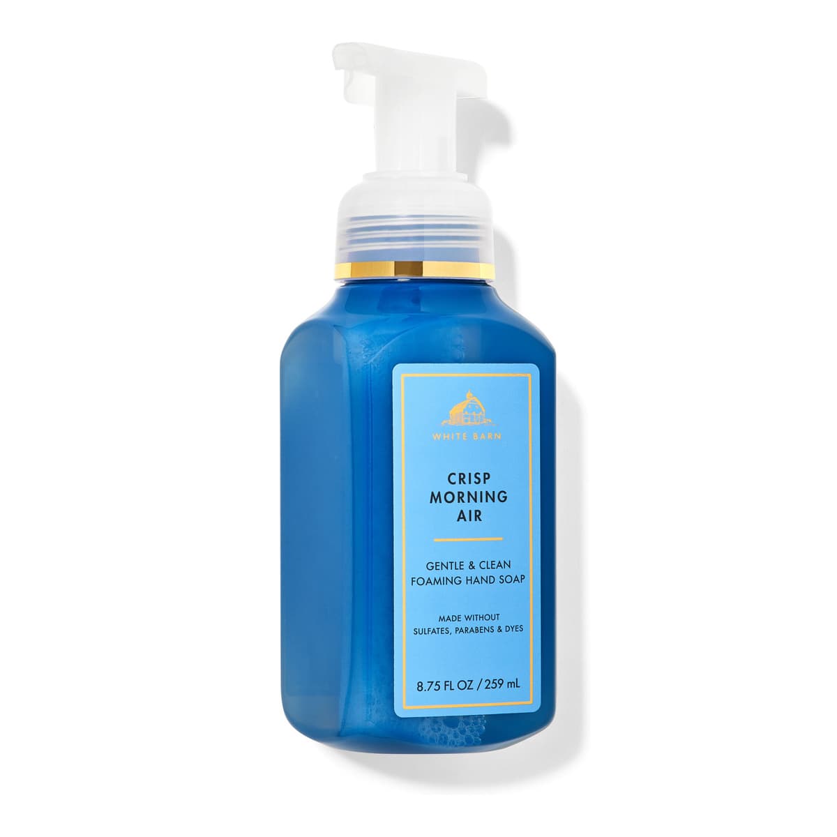 Crisp Morning Air, Gentle & Clean Foaming Hand Soap