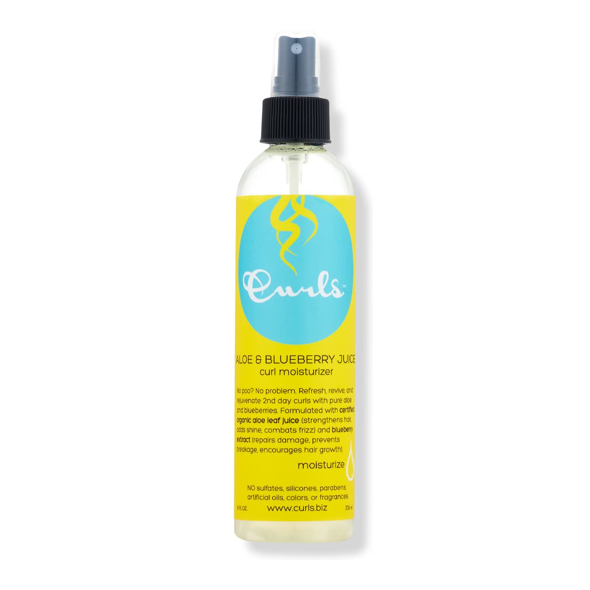 Aloe & Blueberry Juice Curl Moisturizer