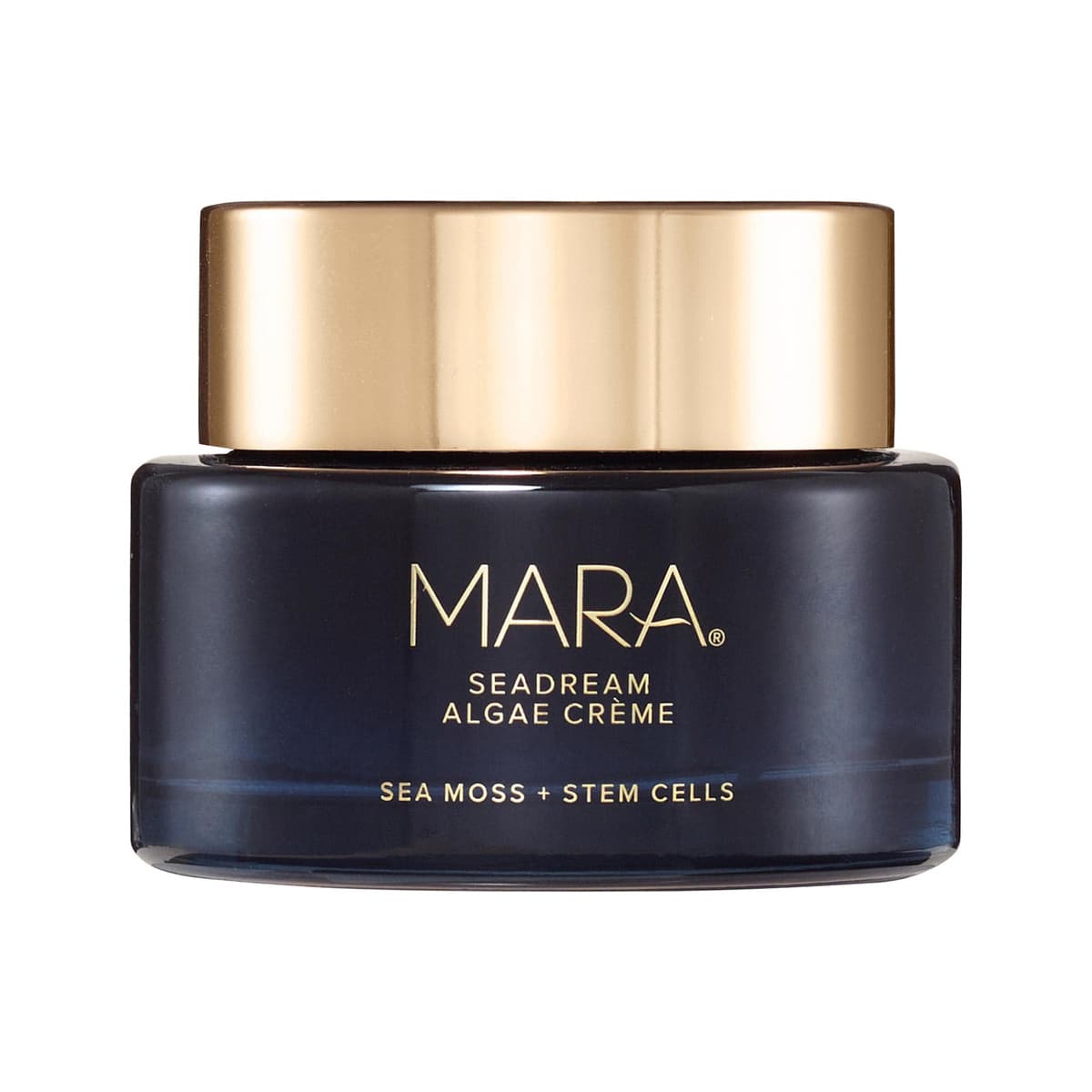 SeaDream Firming Algae Creme Moisturizer with Sea Moss + Peptides