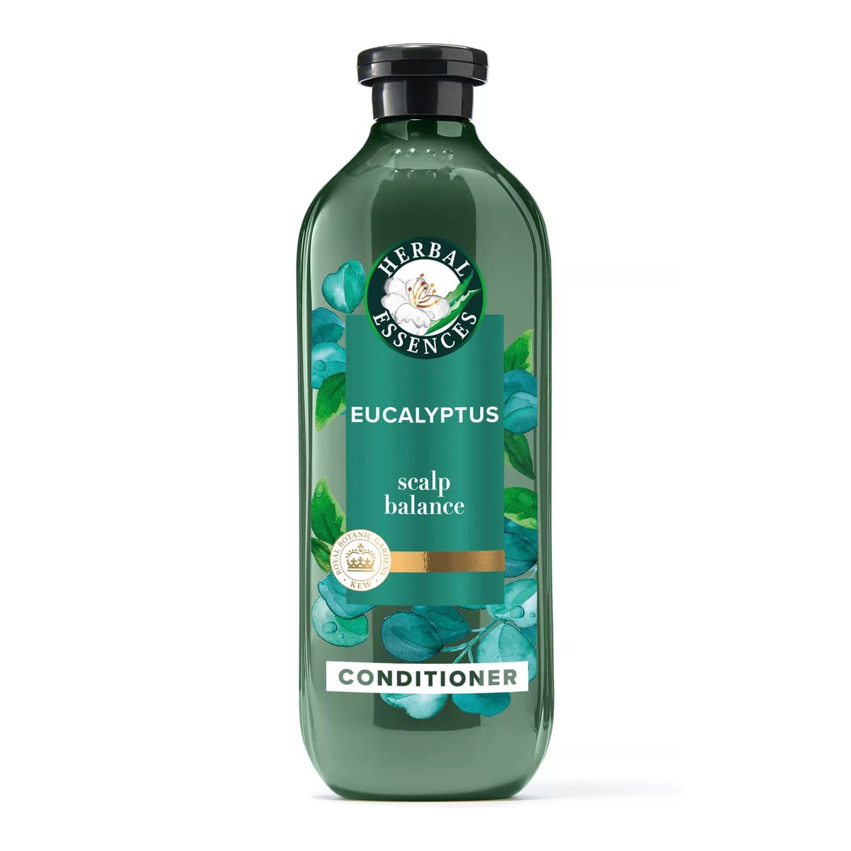 Eucalyptus Sulfate Free Conditioner, For Dry Scalp