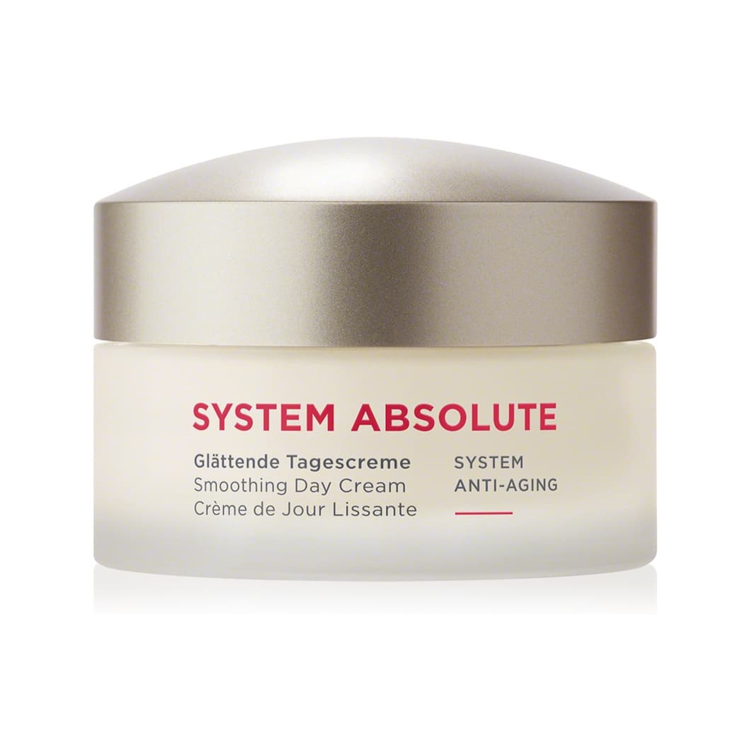 SYSTEM ABSOLUTE
