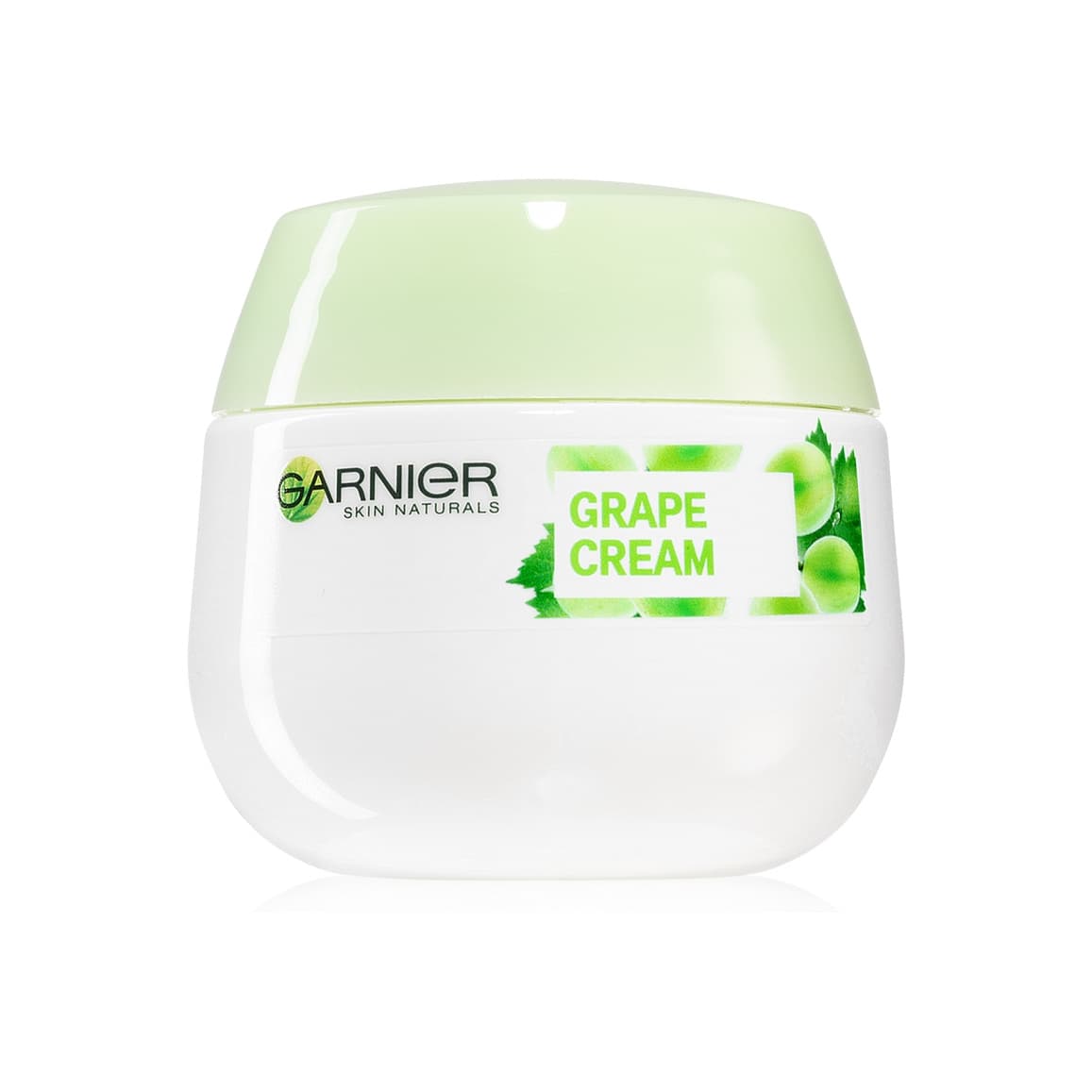Botanical Moisturising Cream for Normal and Combination Skin