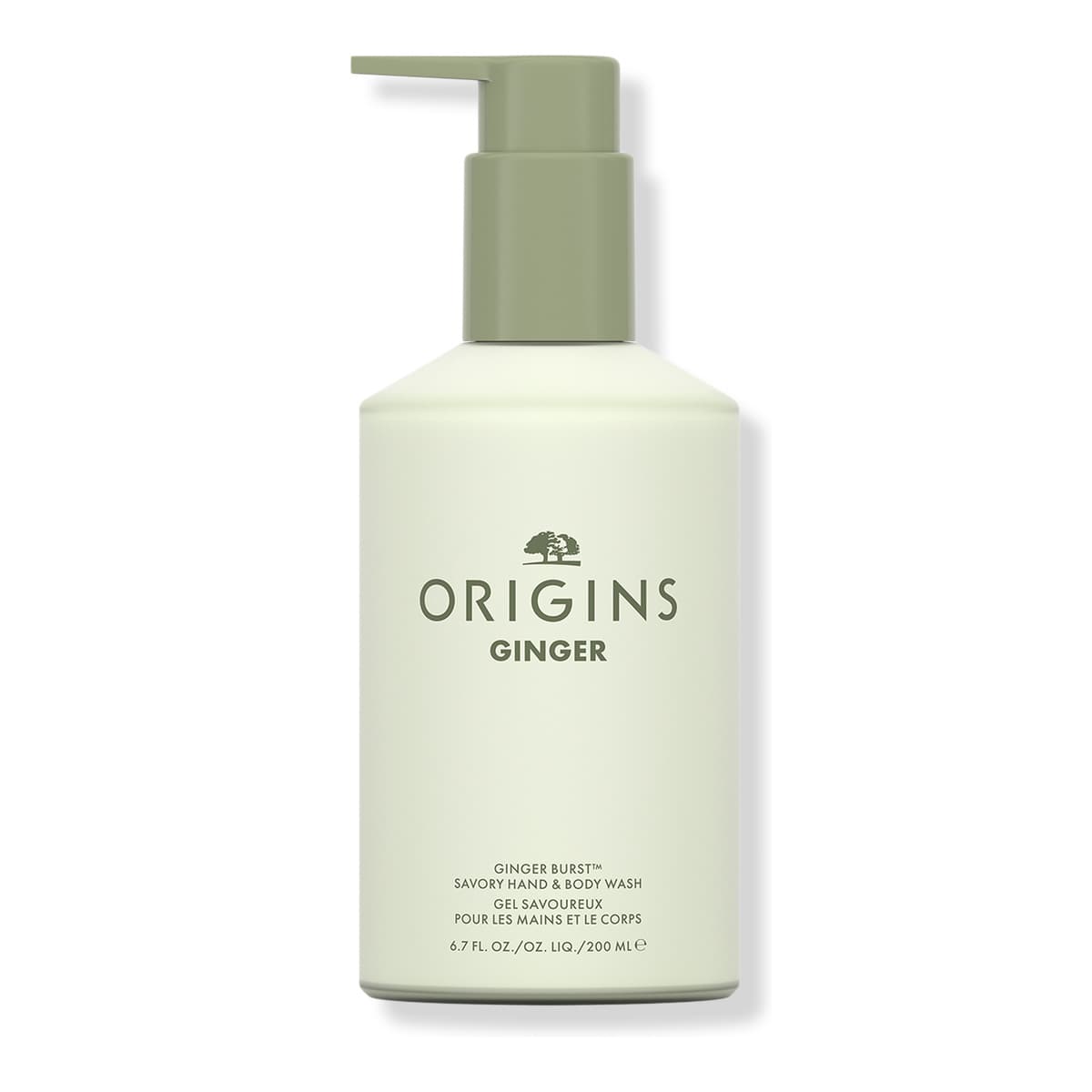 Ginger Burst Savory Hand & Body Wash