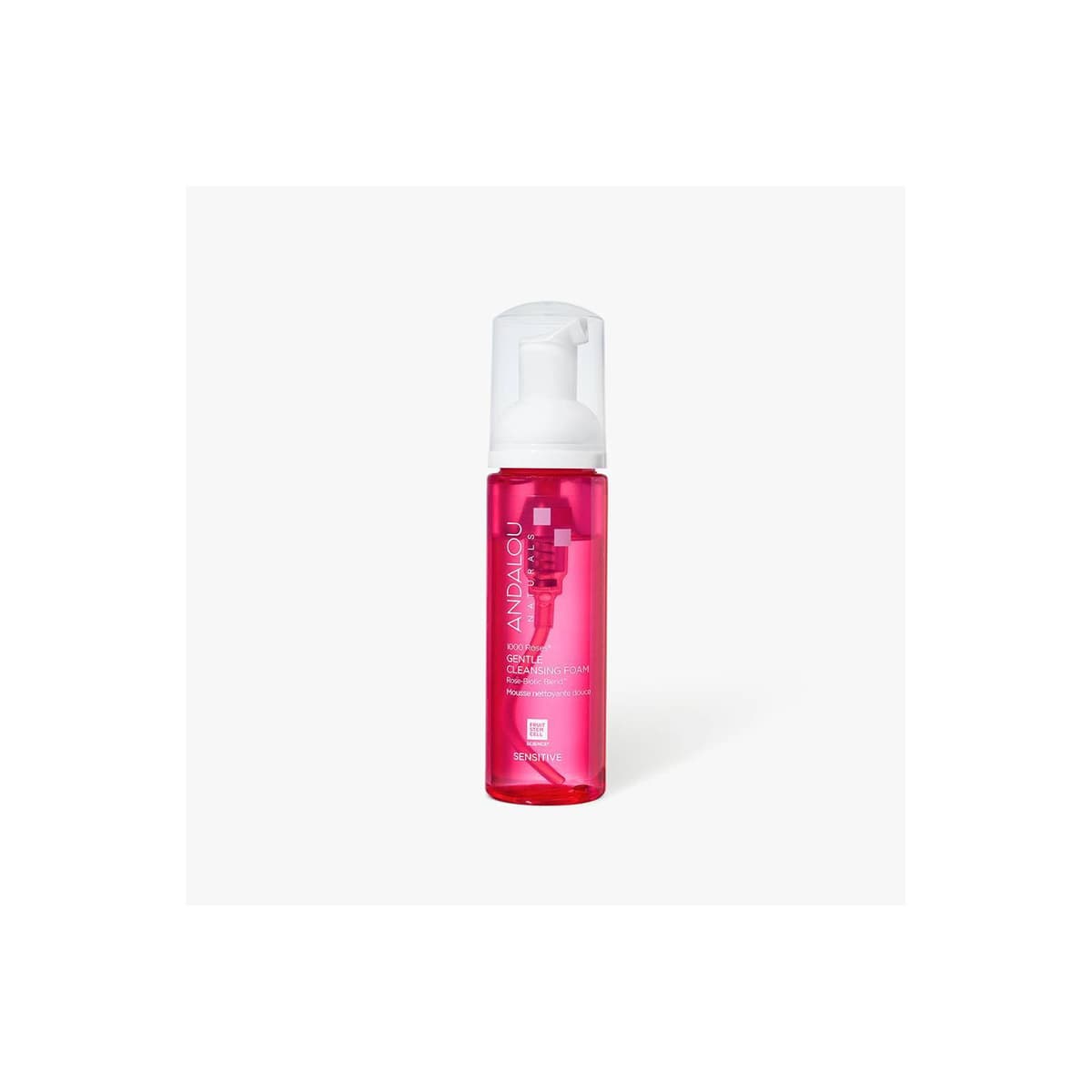 Gentle Foam Face Cleanser
