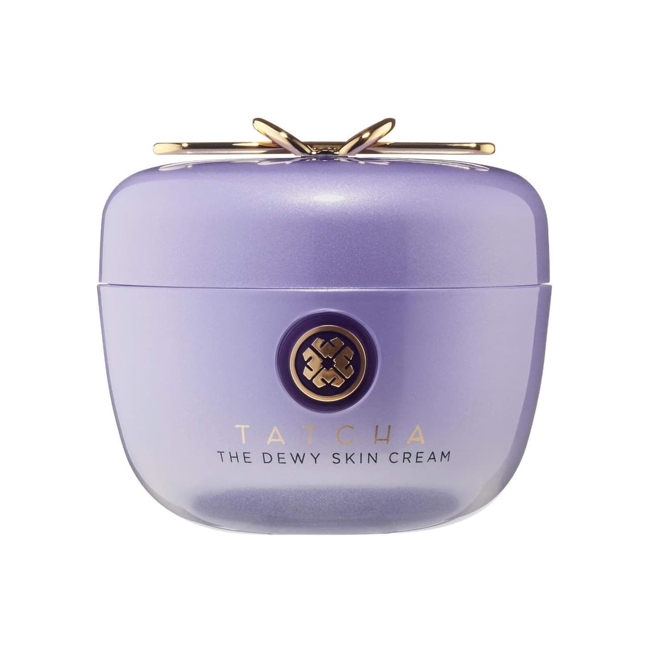 The Dewy Skin Cream Plumping & Hydrating Moisturizer