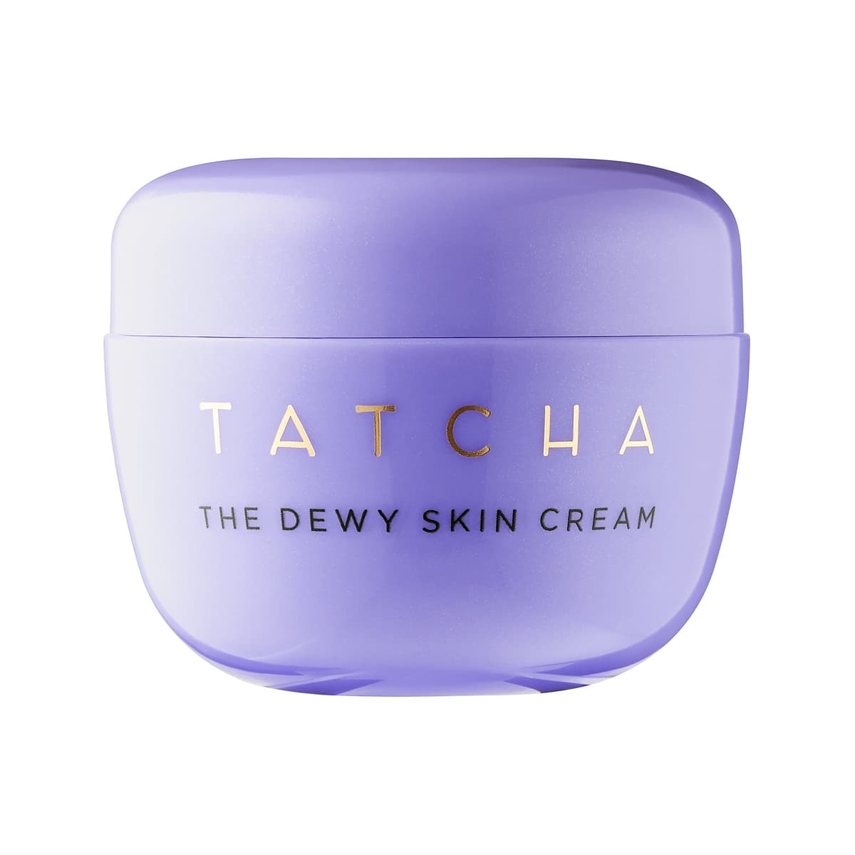 The Dewy Skin Cream Plumping & Hydrating Moisturizer