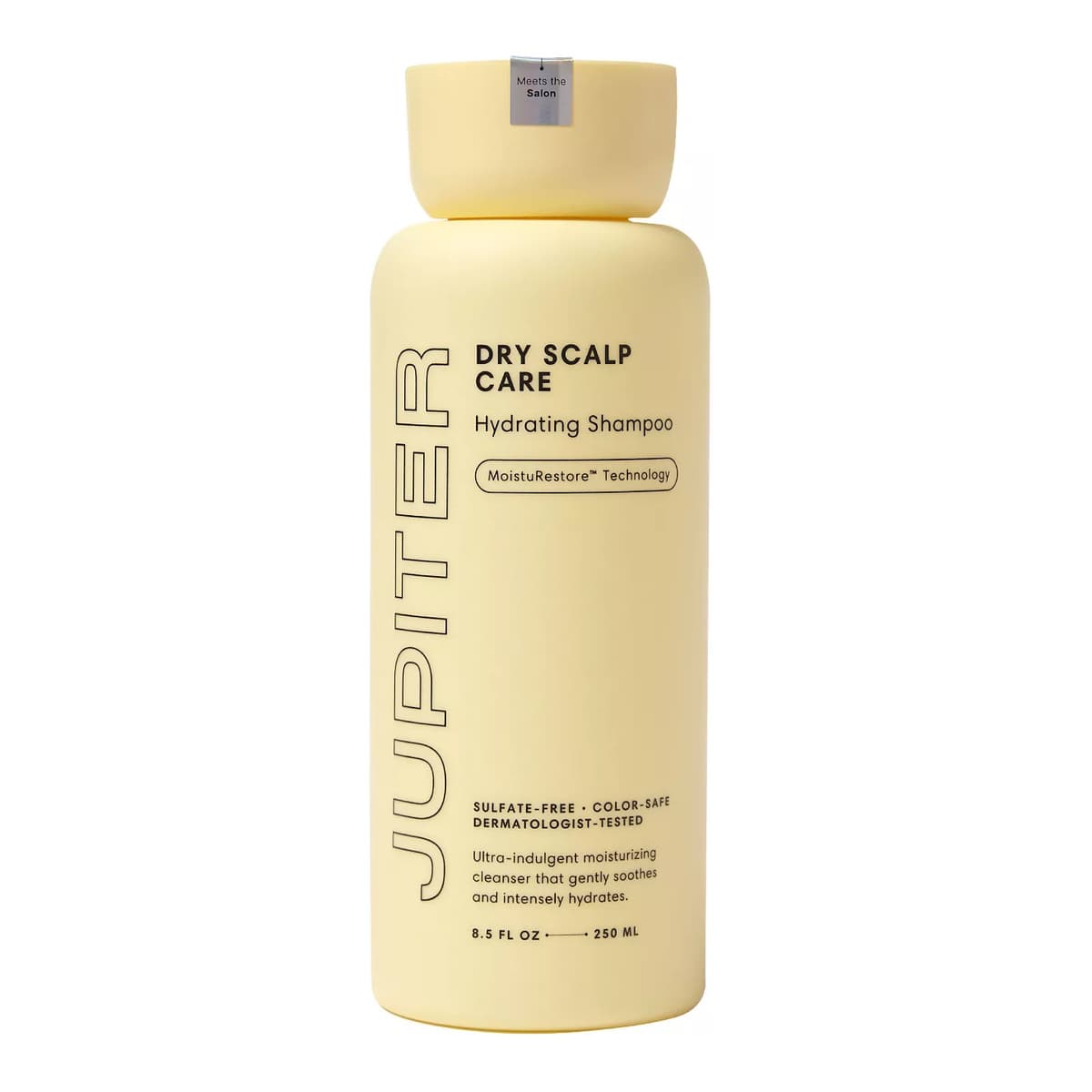 Dry Scalp Care Hydrating Shampoo