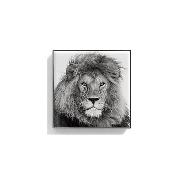Luminescent Eye Shade, Lion
