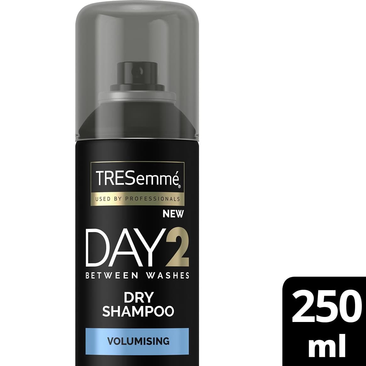 Day 2 Volumising Dry Shampoo