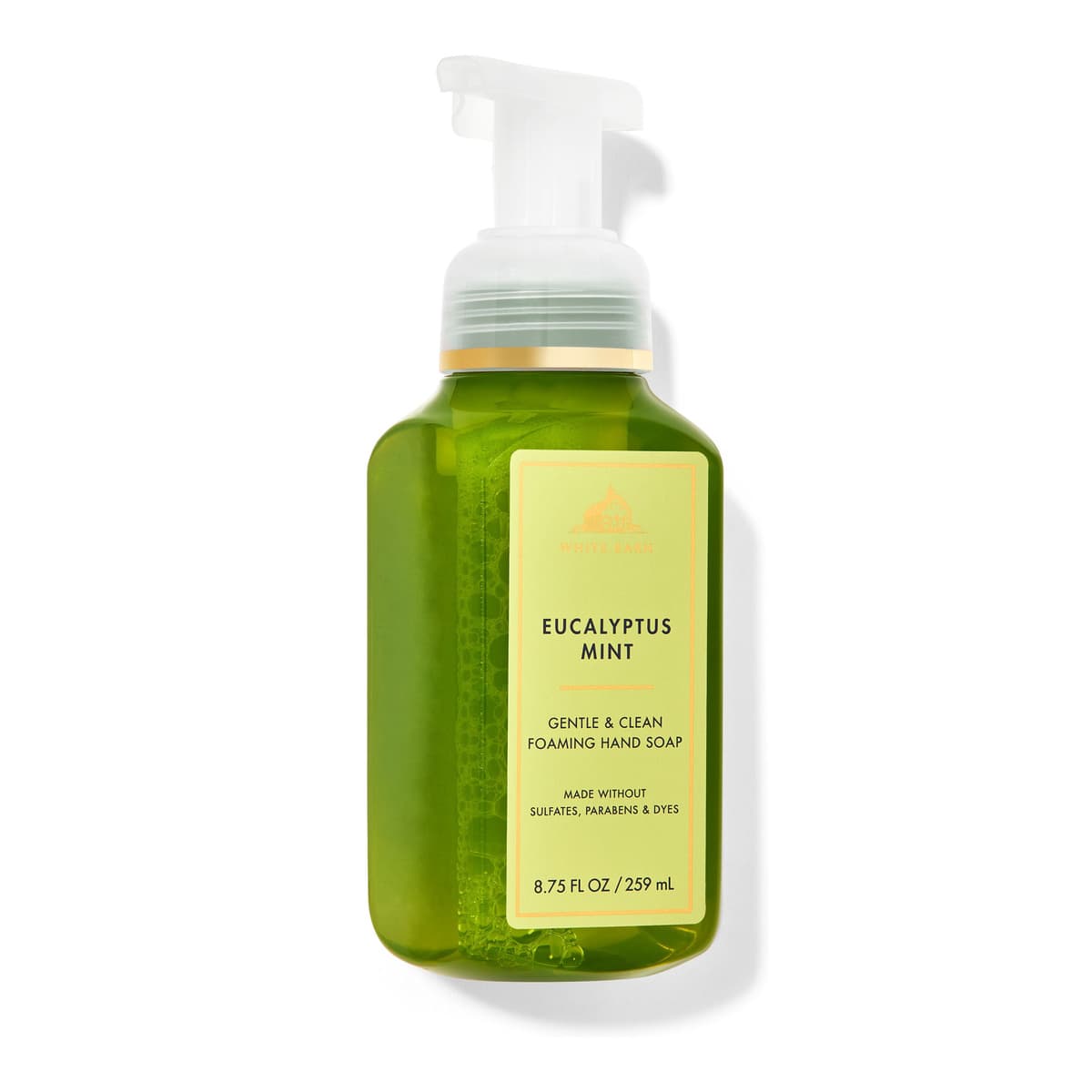 Eucalyptus Mint, Gentle & Clean Foaming Hand Soap