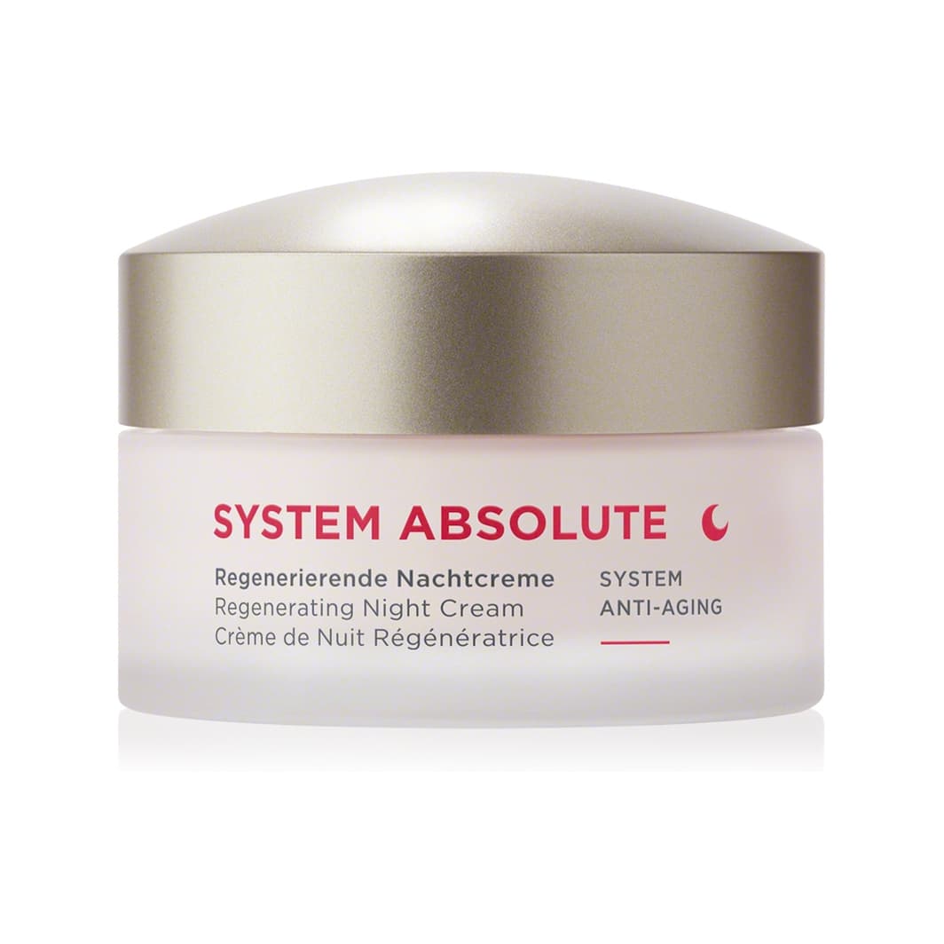 SYSTEM ABSOLUTE