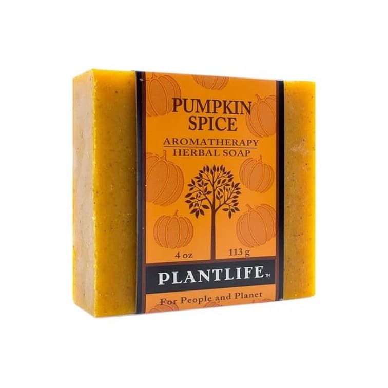 Pumpkin Spice Bar Soap – Moisturizing, Soothing, Handcrafted, Plant-Based – Made in California