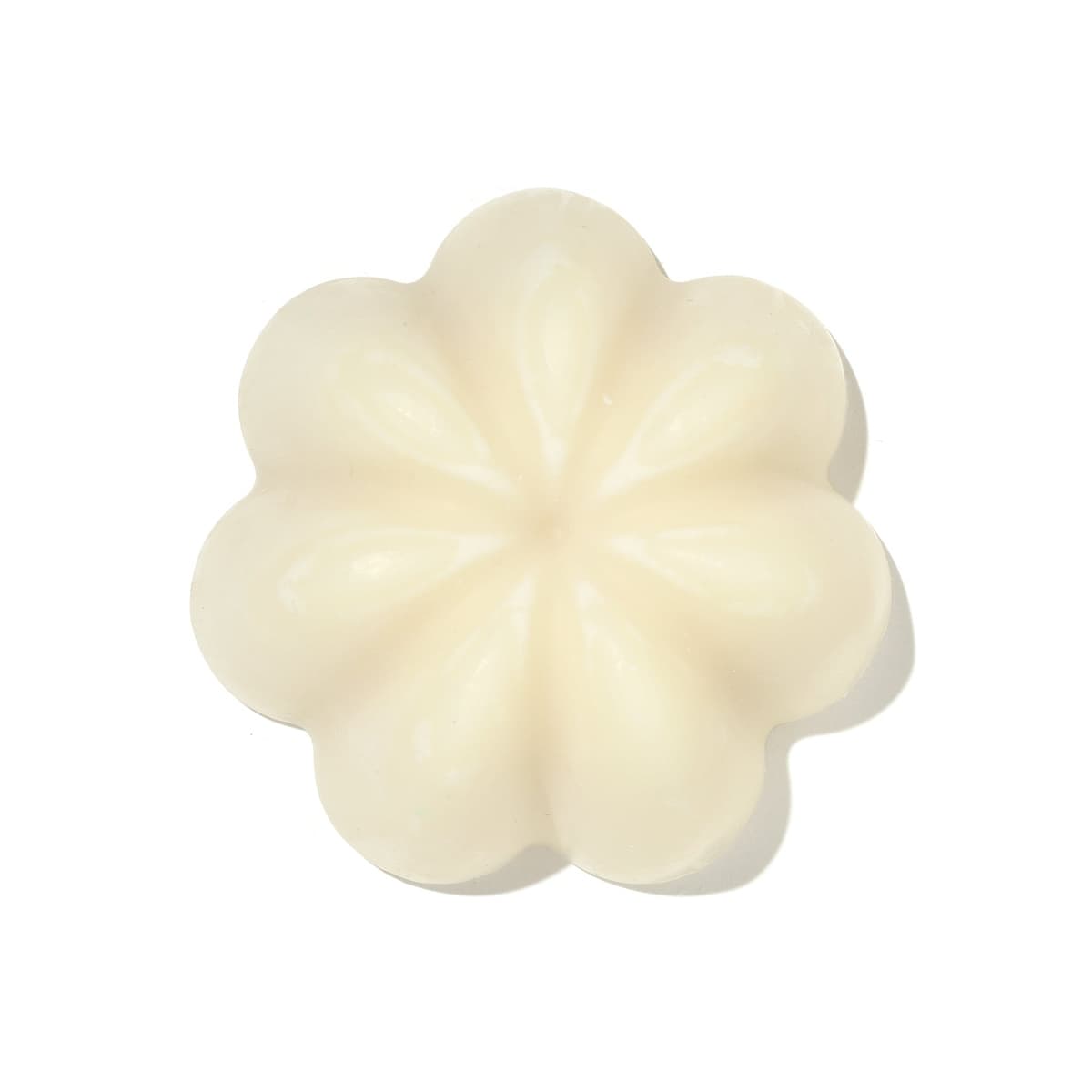 Gentle Solid Shampoo