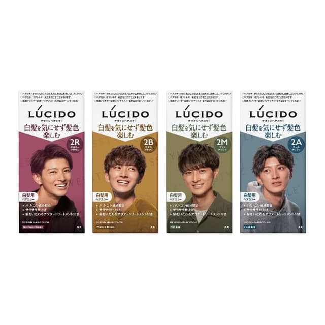 Lucido Design Hair Color, 2M Mat Ash
