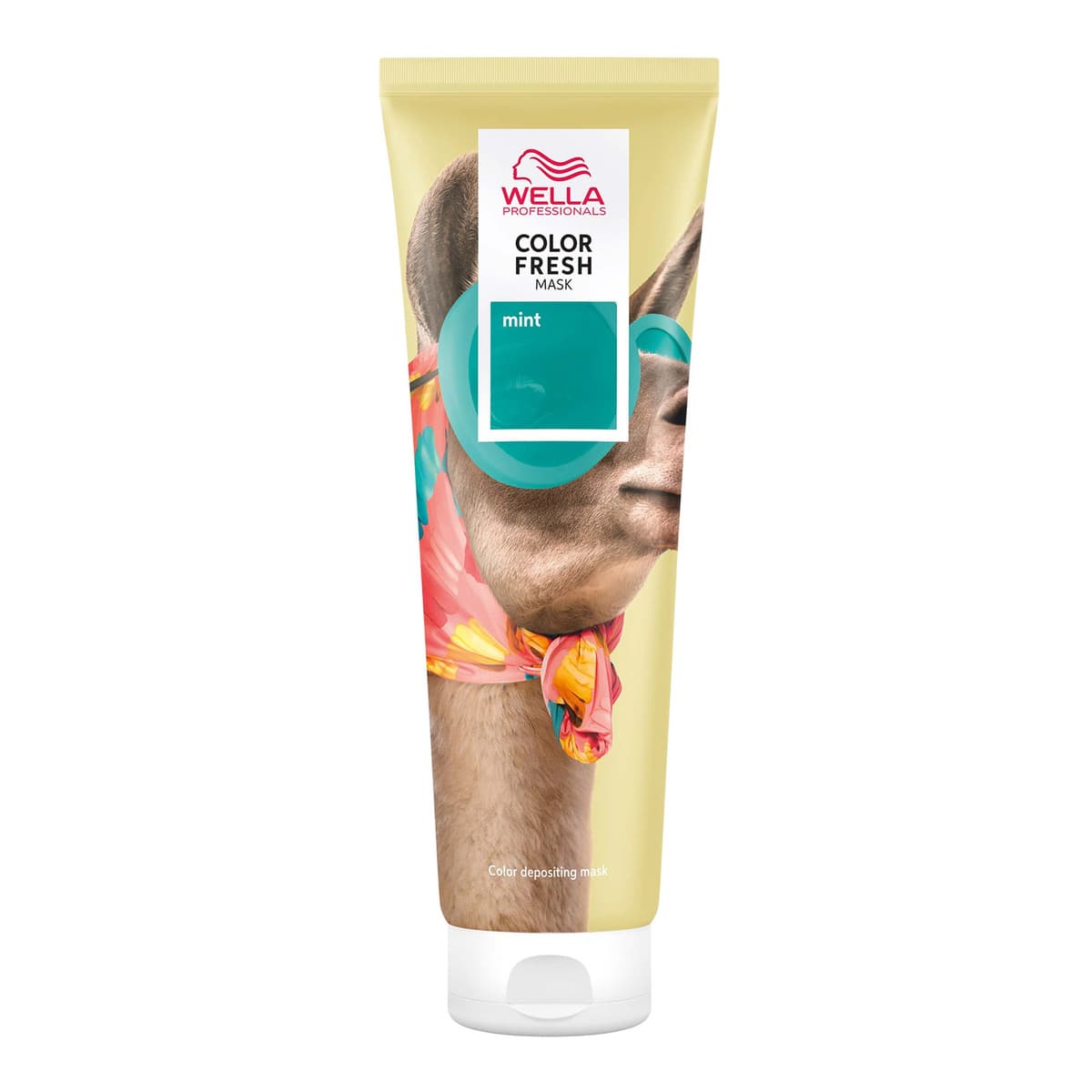 Color Fresh Semi-Permanent Colour Mask - Mint