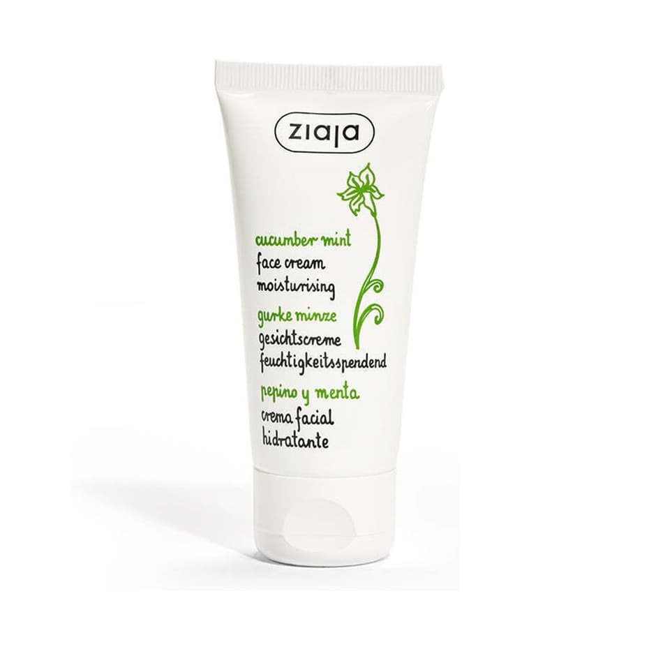 Cucumber Mint Moisturizing Face Cream