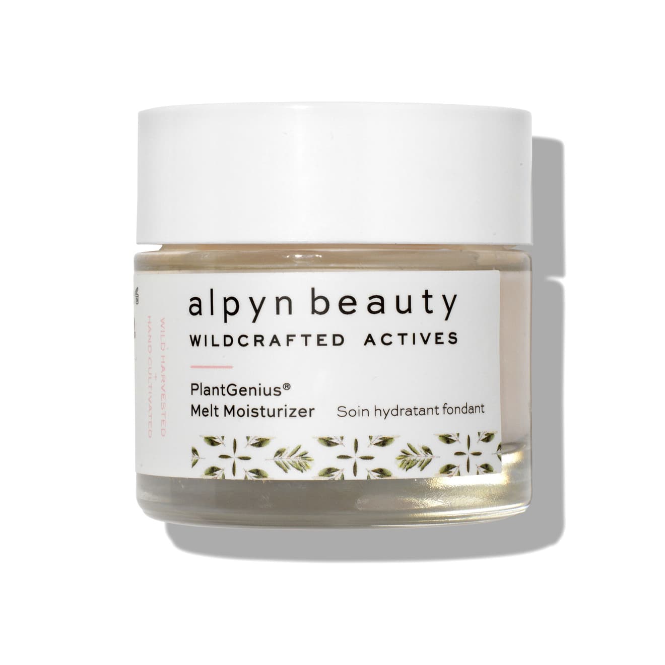 Melt Moisturizer