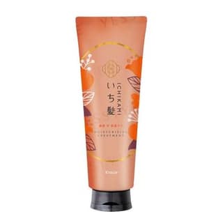 Ichikami Dense Double Moisturizing Care Treatment