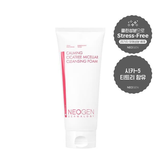 Dermalogy Calming Cica Tree Micellar Cleansing Foam JUMBO