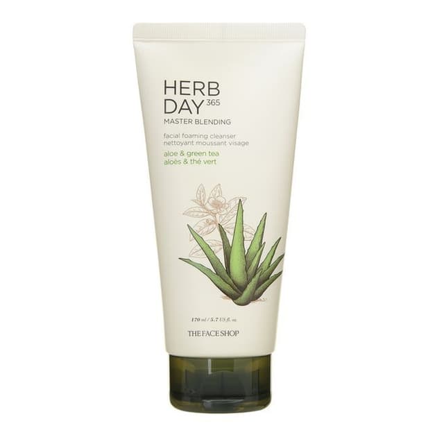Herb Day 365 Master Blending Cleansing Foam, Aloe & Green Tea