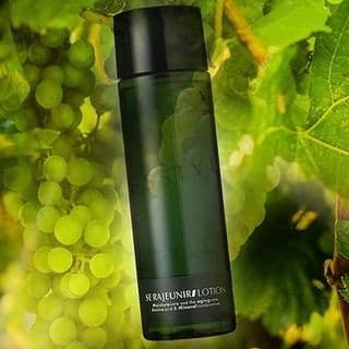 SE Rajeunir Lotion