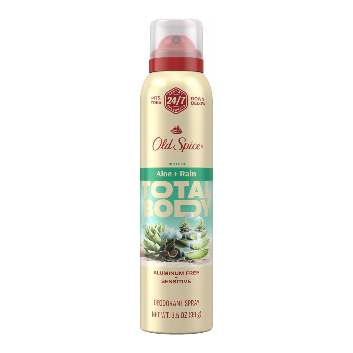 Whole Body Deodorant Spray - Aloe and Rain