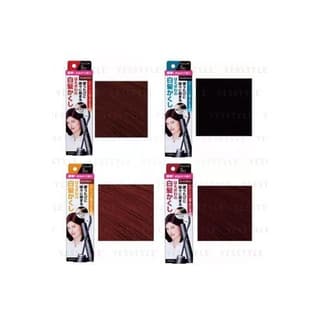Salon De Pro Gray Hair Color Touch, Natural Black