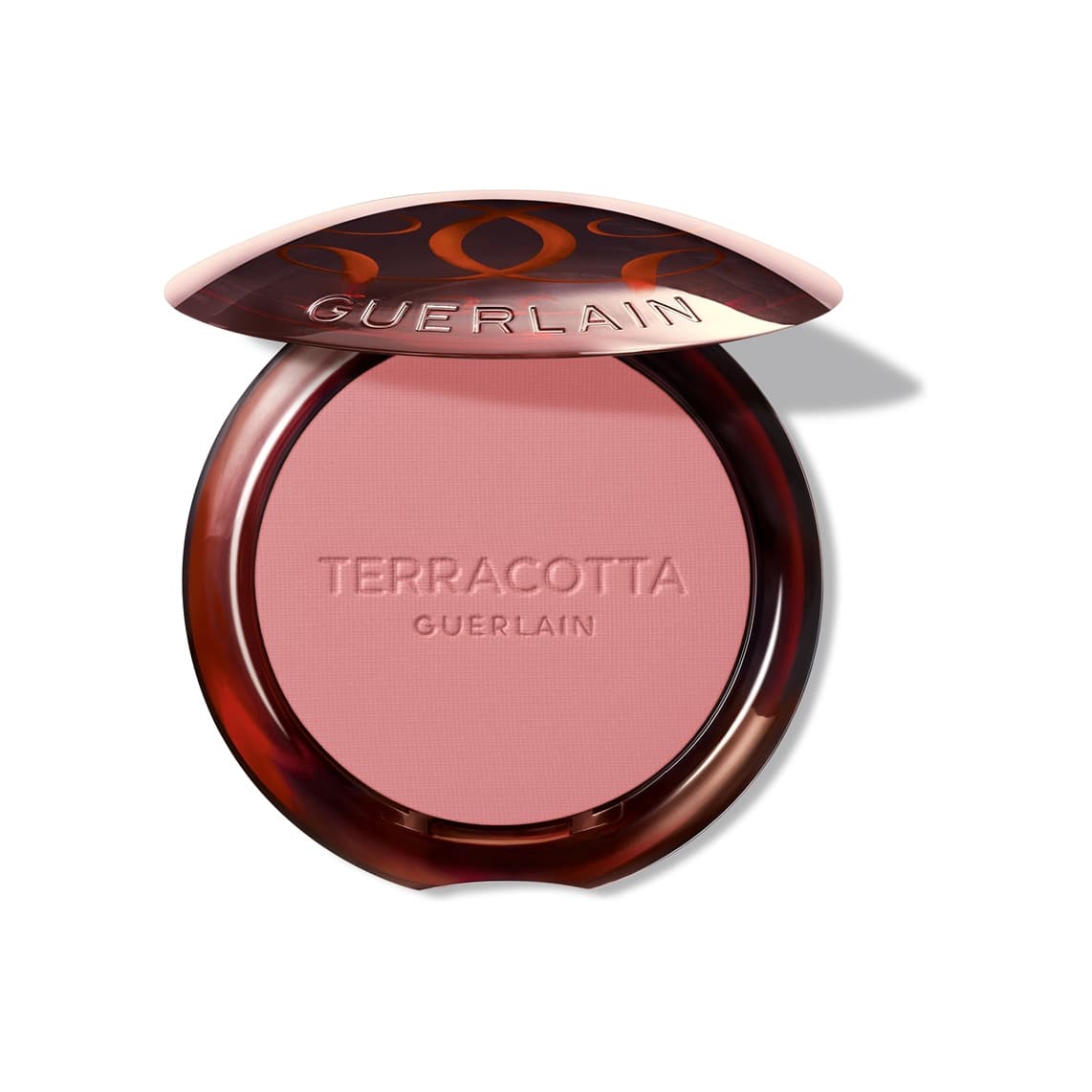 Terracotta Blush