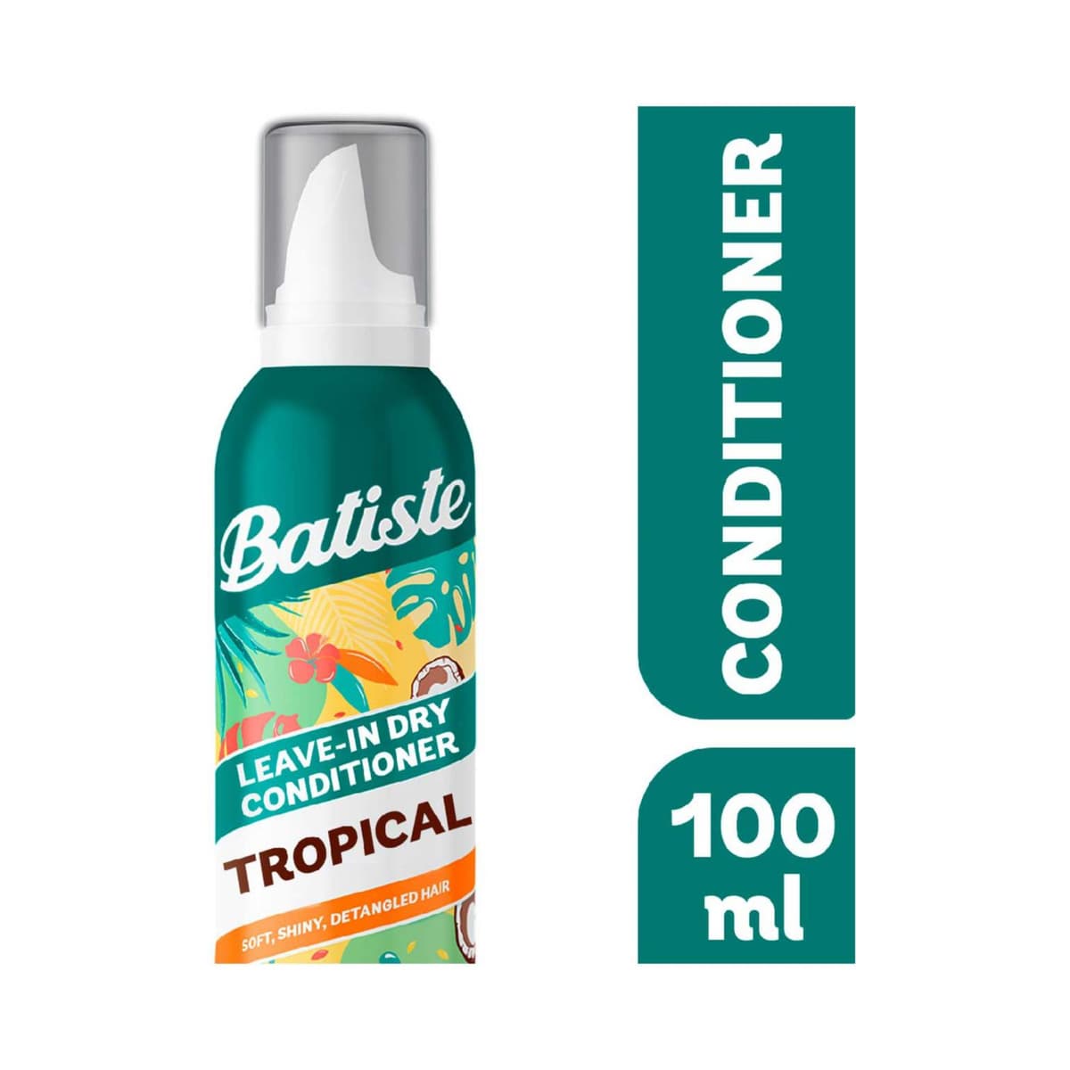 Leave in Dry Conditioner No Rinse Hair Conditioner Foam Tropical