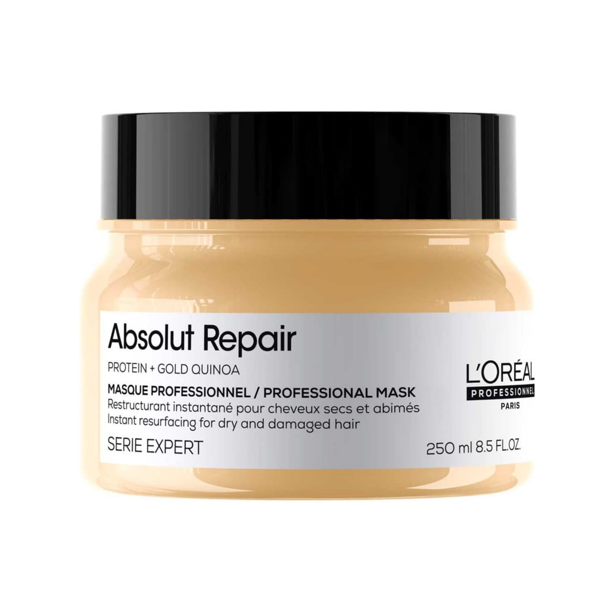 Serie Expert Absolut Repair Mask For Dehydrated Hair