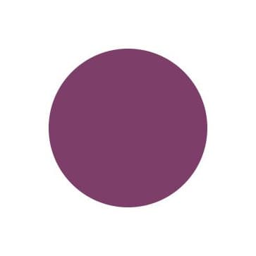 Gel Finish Nail Polish Colour, purple bouquet