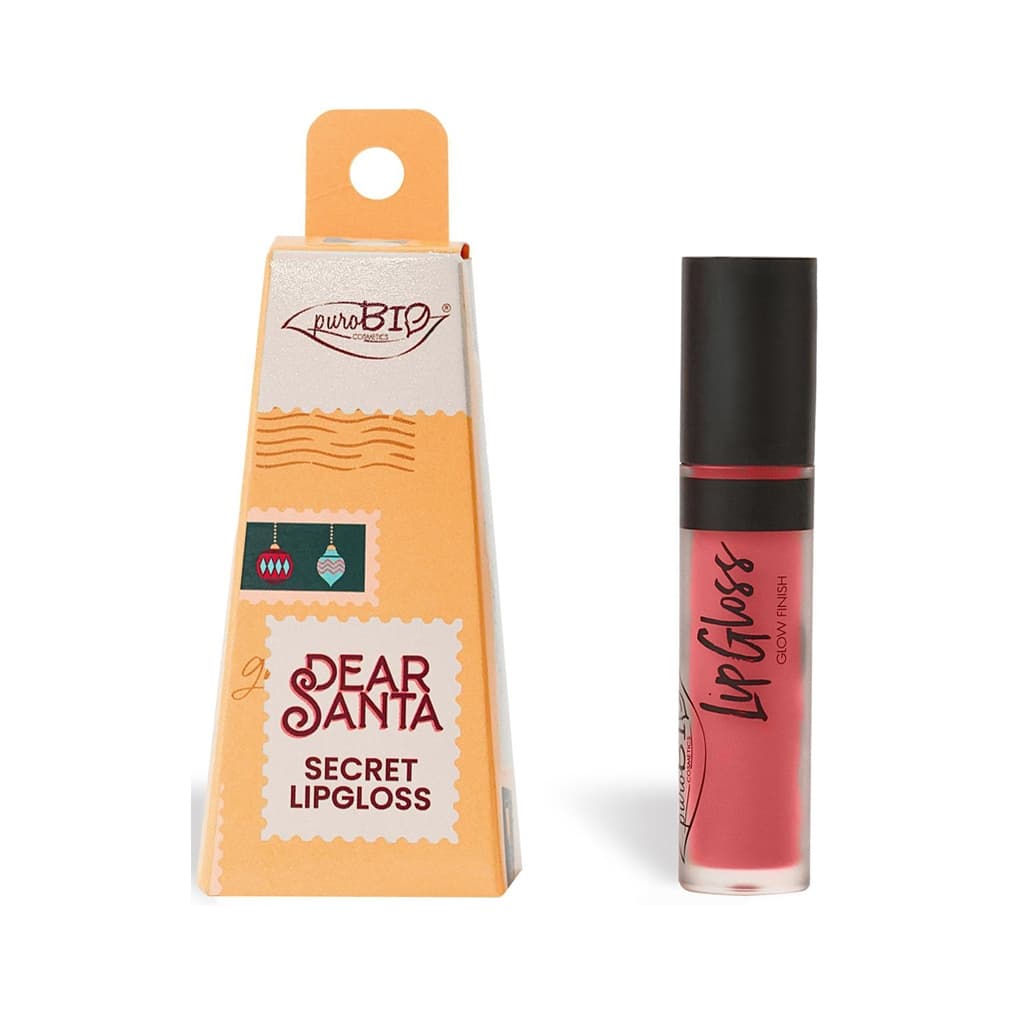 Dear Santa SECRET