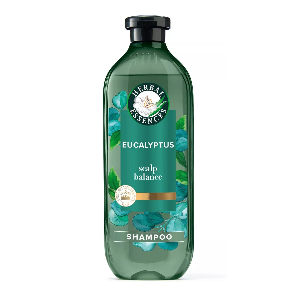 Eucalyptus Sulfate Free Shampoo, For Dry Scalp