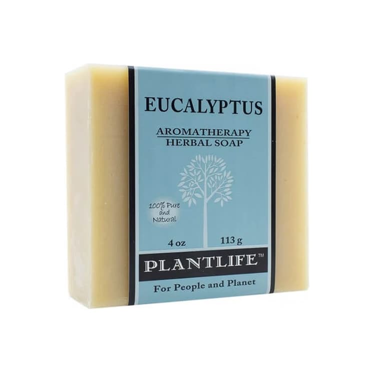 Eucalyptus Bar Soap - Moisturizing and Soothing Soap for Your Skin - Hand Crafted Using Plant-Based Ingredients - Made in California Bar