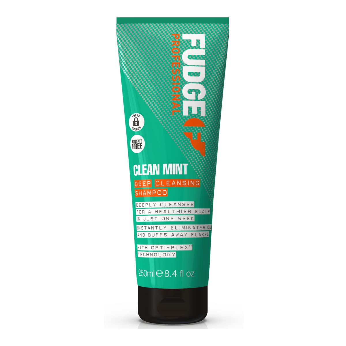 Clean Mint Shampoo