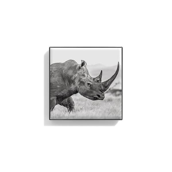 Luminescent Eye Shade, Rhinoceros